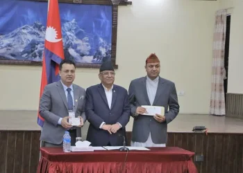 सरकारद्वारा गैरआवासीय नेपालीलाई नागरिकता प्रदान