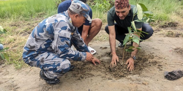 चुरे दिवसको उपलक्ष्यमा कमल सामुदायिक वनमा वृक्षरोपण